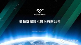 美林数据 推动数据流资产化，构建大数据生态链