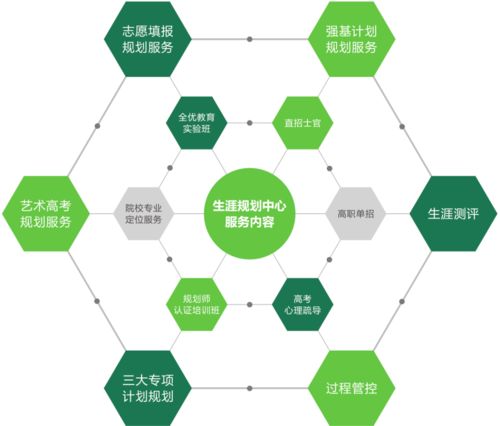 启善尚行 深耕互联网数据服务，驱动数字时代智慧决策